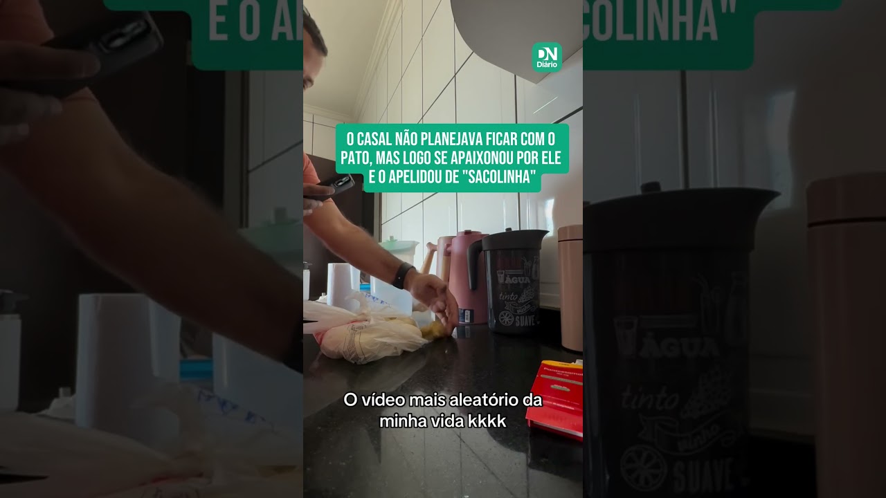 Imagem da notícia Mulher encontra filhote de pato dentro de sacola em casa, adota o animal e vídeo viraliza