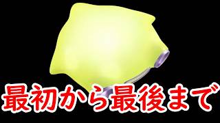 最初から最後までライトスター乗ってみた【カービィのエアライダー】