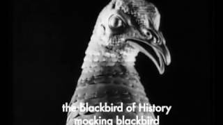 AQUASERGE - Les oiseaux