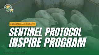 SENTINEL PROTOCOL INSPIRE PROGRAM