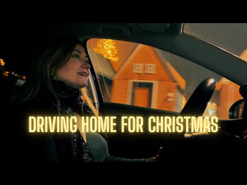 Driving Home for Christmas - Chris Rea | Cover by DALMA