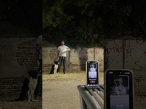 LightInk: Light painting video thumbnail