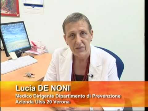 La codificazione da alcolismo di un Siluro o esperal Quando il marito beve e cambia