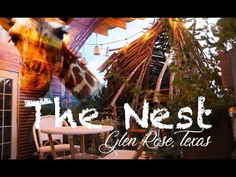 image-Where can I find tree house resorts in Texas?