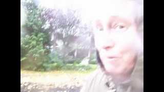 How Have You Weathered The Hurricane?