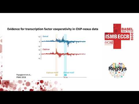 BPNet: base-resolution deep learning of... - Julia Zeitlinger - RegSys - ISMB/ECCB 2019