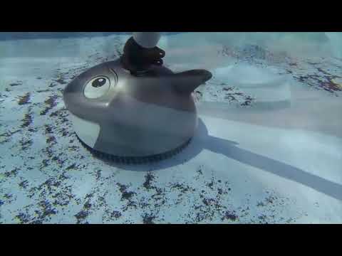 Pentair 'Lil Shark Automatic Pool Cleaner - Available at Pool Supplies Canada.ca
