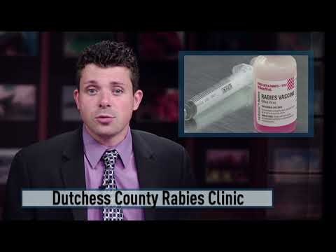 Duchess County Rabies Clinic