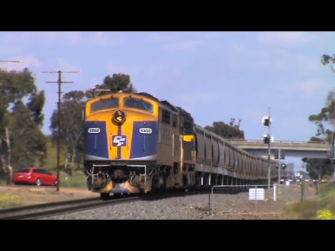 EL Zorro Grain at Dimboola Loop S300 T386 C501  3/10/2010