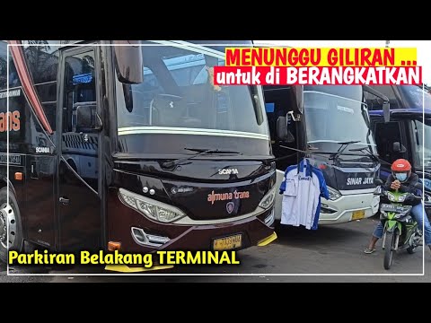 BODY INFINITY REJEKI TANPA HENTI || PO HARYANTO ANGKATAN PAGI dari TERMINAL TANJUNG PRIOK