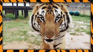 Swipe left on that! | WATC 373