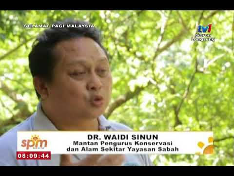 SPM 2017 - BINGKISAN  SABAH: KAWAG DANUM RAINFOREST LODGE [15 OKT 2017]