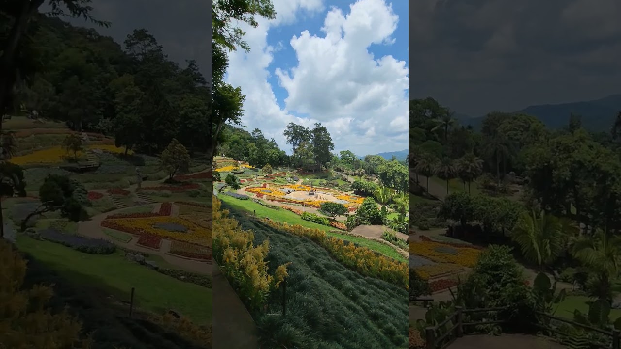 YouTube Short thumbnail