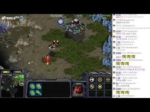 FlaSh's TvP Guide: " 10-10 " Build