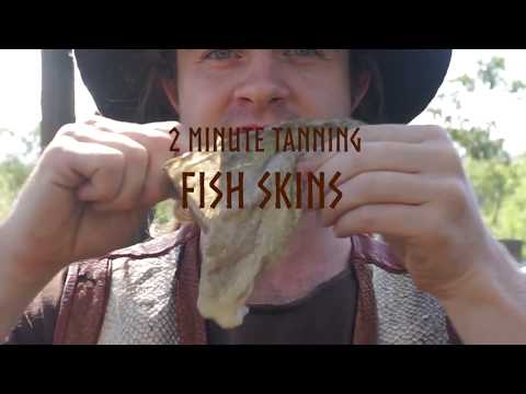 YouTube video about: How to preserve fish skin?