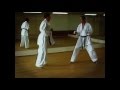 The Best Karate Training Kumite Sensei Gunter Mohr 10