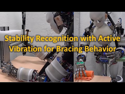 Stability Recognition with Active Vibration for Bracing Behaviors and Motion Extensions Using Environment in Musculoskeletal Humanoids