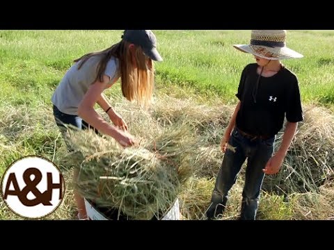 Baling HAY bales without machinery!