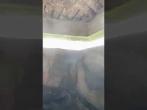 What’s it like inside of a Vietnam War Pill Box ? 🇻🇳