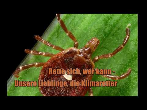 UDO Pollmer Brotzeit_ Rette sich_ wer kann - Unsere Lieblinlinge die Klimaretter( HD )