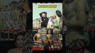 Download lagu Manuke Pindah #joklithik #jokluthuk #lucu mp3