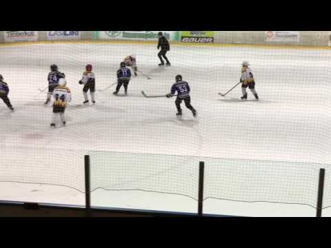 Maalintekoa -08 turnauksesta 15.04.2017 Nikkarit, Blues jr, Jäätiikerit & Pingviinit