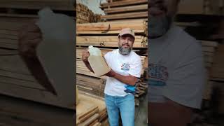 Elimina Polilla y Termitas 🐜 en la Madera  #shorts