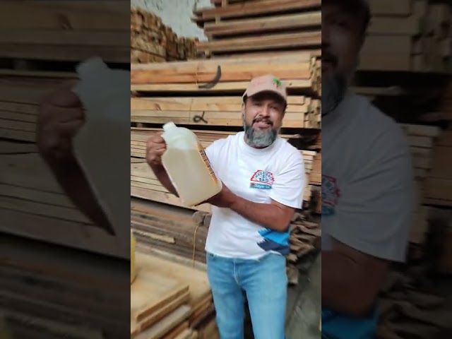 Vídeo relacionado con Remi Hogar Gel Mata Carcoma y Termitas para Madera | Tratamiento Curativo y Preventivo | Protector de Madera Interior | Elimina Larvas de Carcoma e Insectos Xilófagos | Listo para Usar | 400 ml