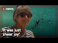 Swimmers Life Changing Experience With Orca Off Coromandel Beach 1News
