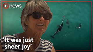 Swimmer who swam with orca off Coromandel beach describes ‘life-changing experience’