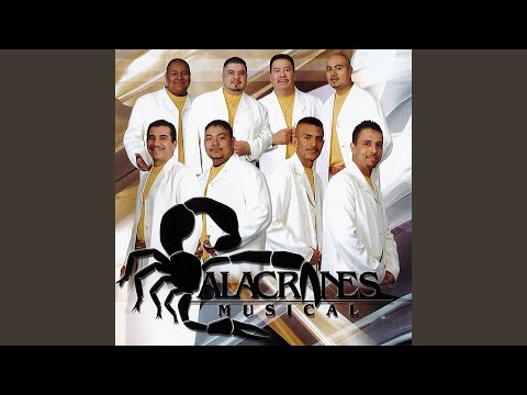 Si Me Recuerdas - Alacranes Musical