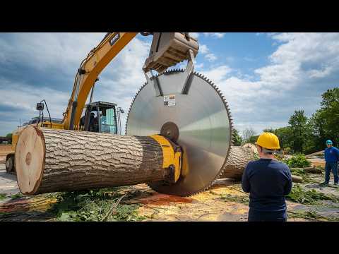 Die tödlichsten Holzfällermaschinen der Welt – Extremer Einsatz im Wald! #77