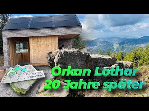 wie sieht es am Schliffkopf nach dem Orkan Lothar heute aus?