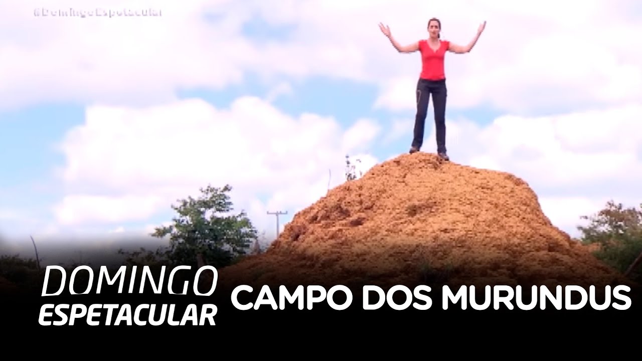 Especialista desvenda o segredo do campo dos murundus da Caatinga