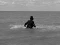 Wild Folk Official Music Video Sleep Walking Animals