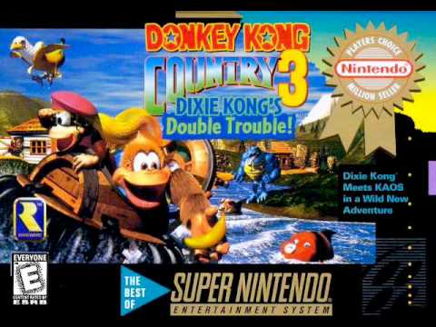 Donkey Kong Country 3 -  Cascade Capers - waterfall - Music Remake (Cover