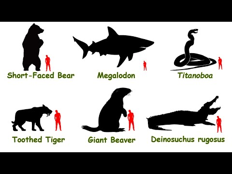 Extinct Animals That Were Absolute Terrors | Explained in 10 minutes