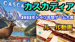ルール動画