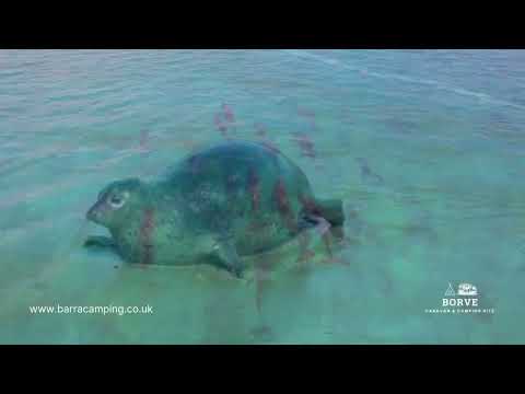 Isle of Barra, Outer Hebrides, Scotland