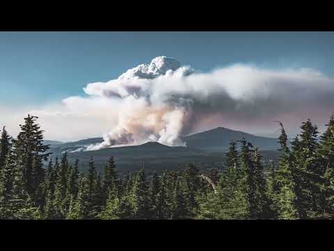 奇妙な陰謀論! MH370便墜落事故は宇宙人と関係があると言われている