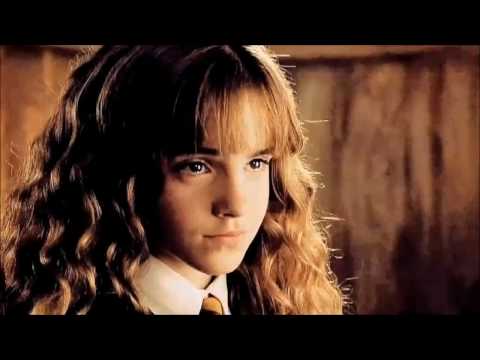 Dramione -  Wizard Love