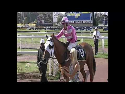 The Elmo Effect Turffontein 18 March 2017