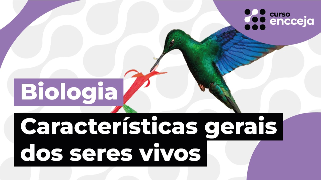 CARACTERÍSTICAS GERAIS DOS SERES VIVOS | RESUMO DE BIOLOGIA PARA O ENCCEJA