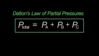 Dalton's Law of Partial Pressures Explained
