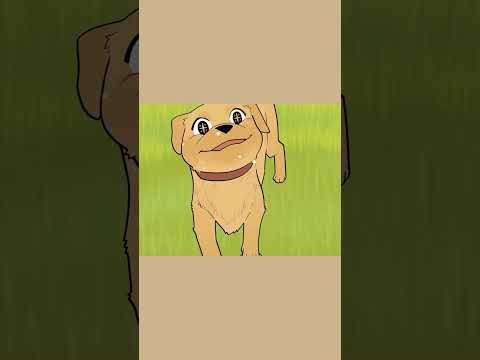 Chú chó cứu rỗi cuộc đời một kẻ lầm lỡ | Tạp hóa meomeo #animation #hoathinhtrungquoc