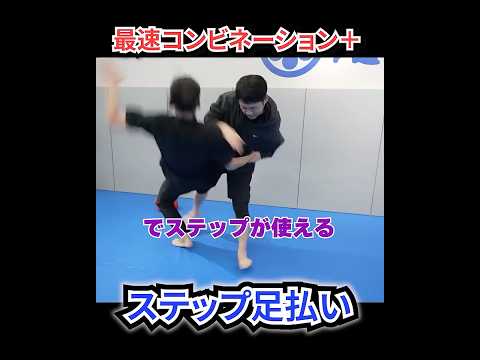 武術家の打撃と足払いによる最速コンビネーション　 #ワンインチチャンネル #石井東吾