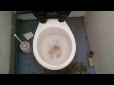 Reshoot: Virtra Arkitekt/LL DM Consort X2, Cumberland Estate, Loughborough (Full Shoot)