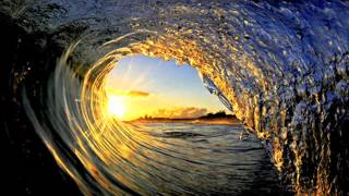 The Concept   D D Dance