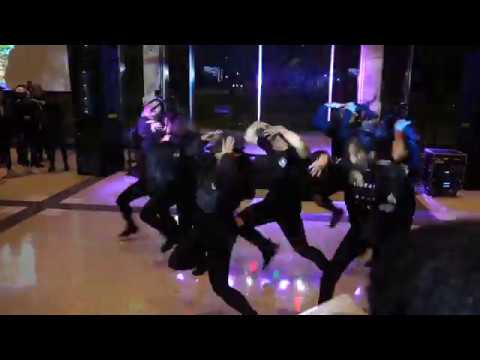 UT KDC - Kimchi Kon K-POP Performance 2019 (Seventeen, Chung Ha, ATEEZ, BTS)