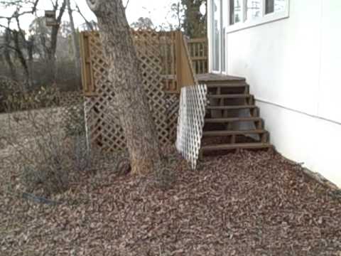 Charlotte Home Inspection Reveals Tree Too Close to House